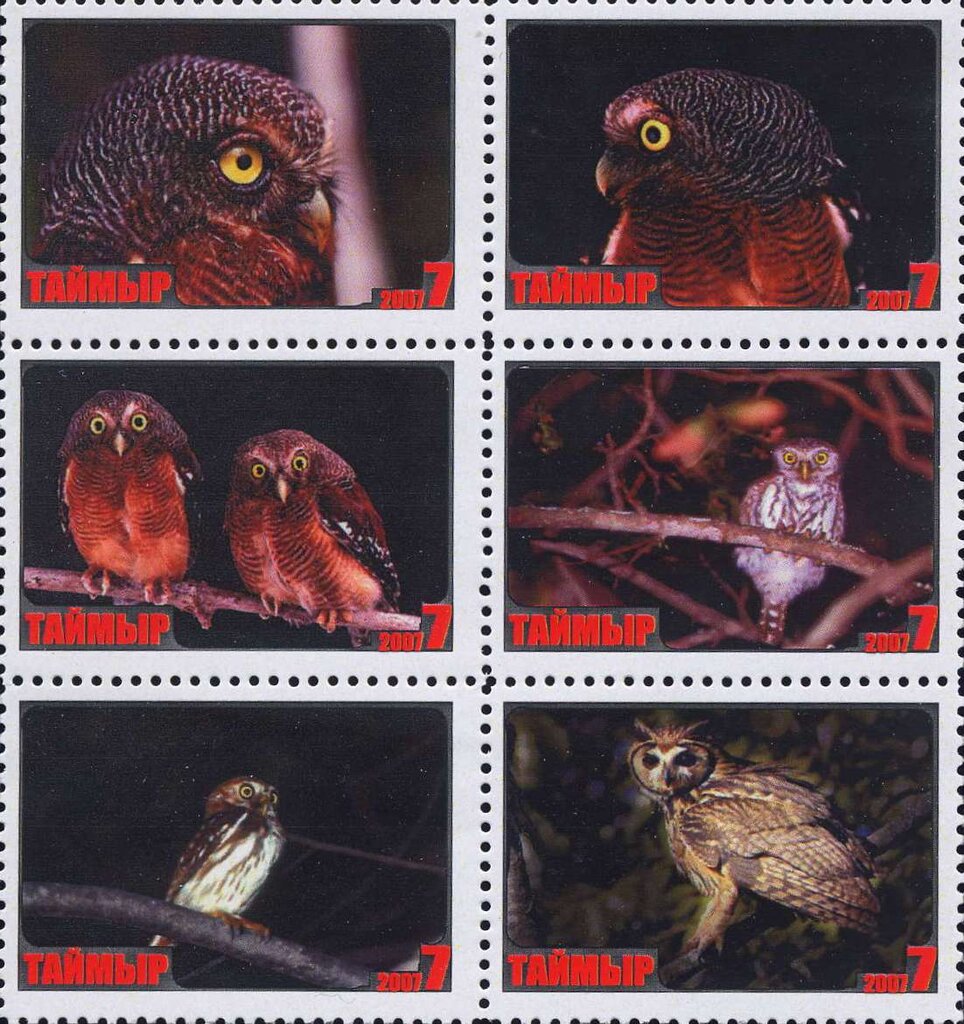 Owls