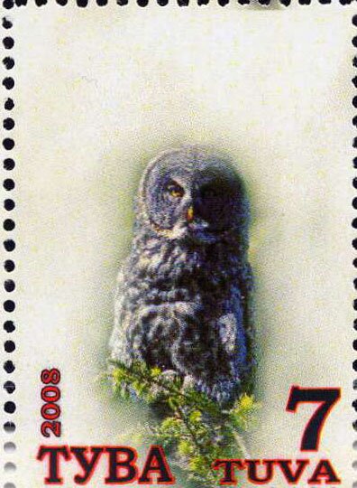 Owls