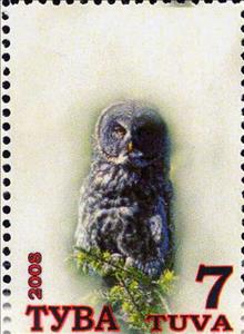 Stamp, Owls, Cinderellas,  , Animals (Fauna), Birds, Owls