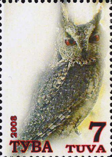 Owls