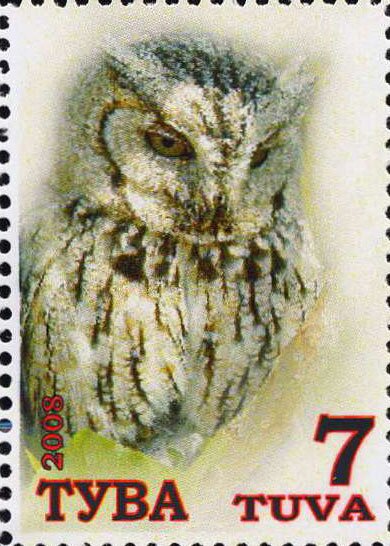 Owls