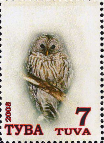 Owls
