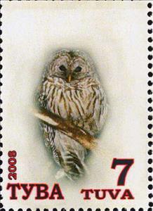 Stamp, Owls, Cinderellas,  , Animals (Fauna), Birds, Owls