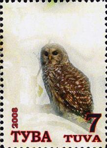 Stamp, Owls, Cinderellas,  , Animals (Fauna), Birds, Owls
