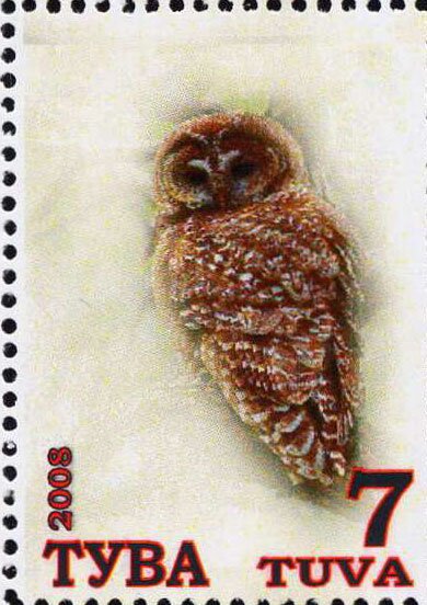 Owls