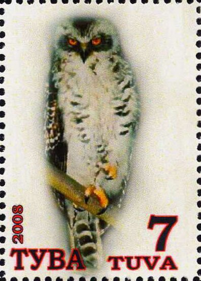 Owls