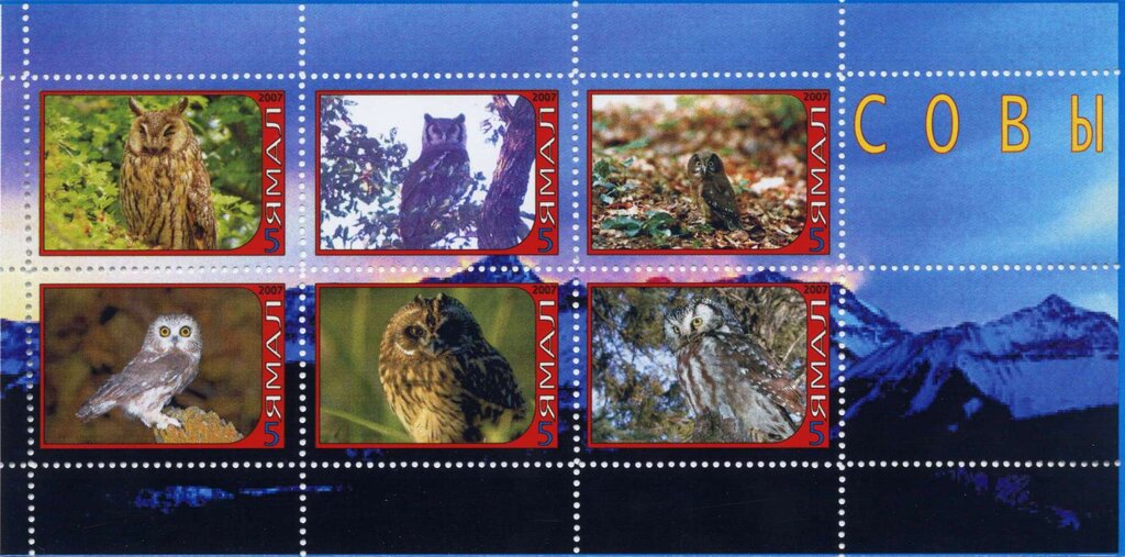Owls