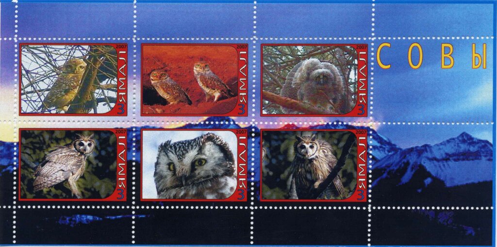 Owls