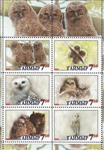 Mini Sheet, Owls, Cinderellas,  , Animals (Fauna), Birds, Owls