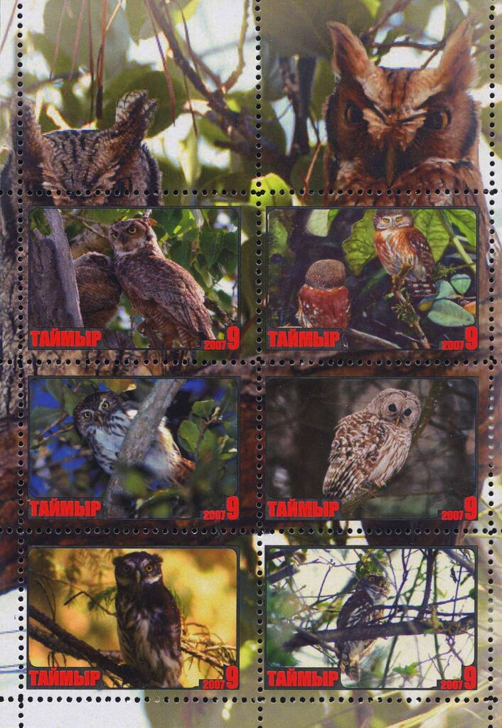 Owls