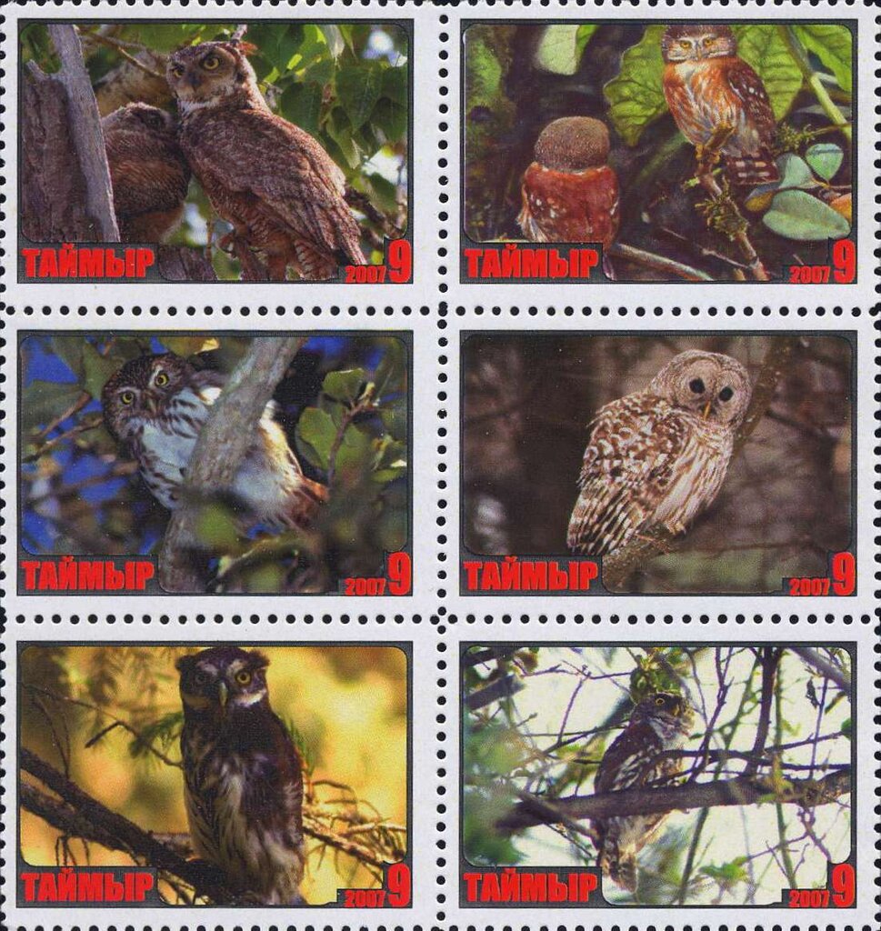 Owls