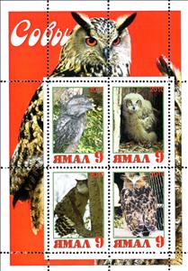 Mini Sheet, Owls, Cinderellas,  , Animals (Fauna), Birds, Birds of Prey, Owls
