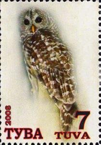 Stamp, Owls, Cinderellas,  , Animals (Fauna), Birds, Owls