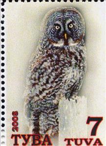 Stamp, Owls, Cinderellas,  , Animals (Fauna), Birds, Owls