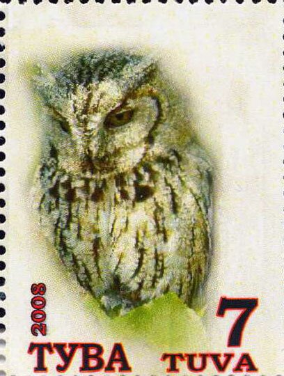 Owls