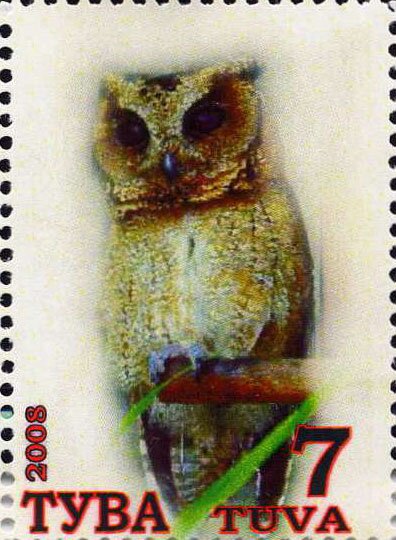 Owls