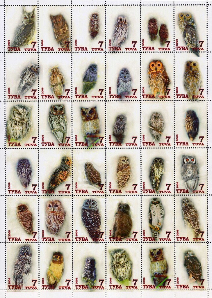 Owls