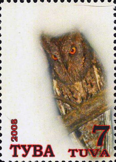 Owls