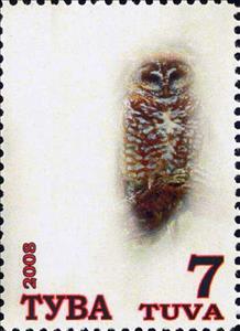 Stamp, Owls, Cinderellas,  , Animals (Fauna), Birds, Owls