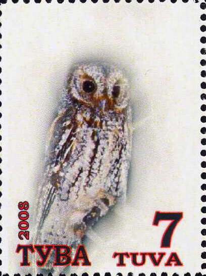 Owls