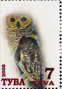 Stamp, Owls, Cinderellas,  , Animals (Fauna), Birds, Owls