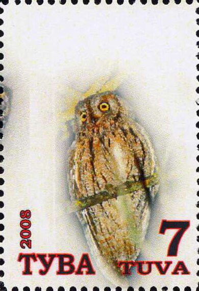 Owls