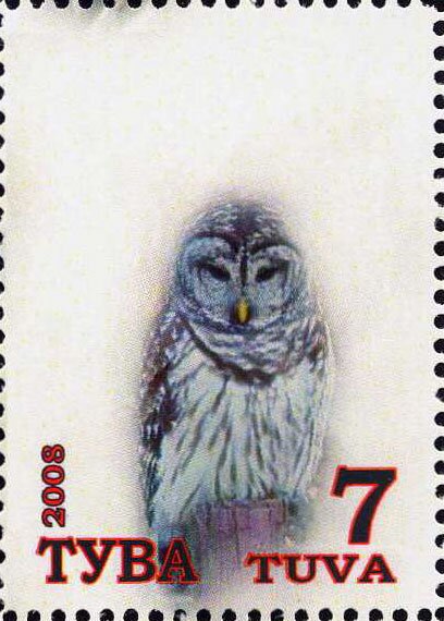 Owls