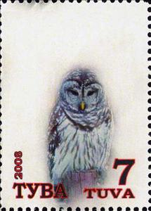 Stamp, Owls, Cinderellas,  , Animals (Fauna), Birds, Owls