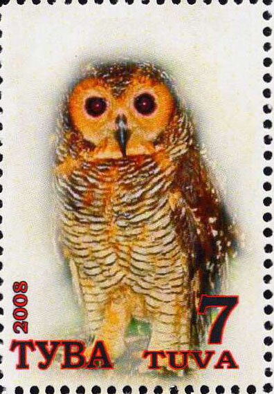 Owls
