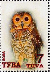 Stamp, Owls, Cinderellas,  , Animals (Fauna), Birds, Owls