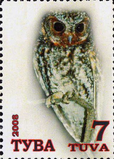 Owls