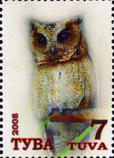 Owls