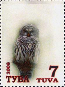 Stamp, Owls, Cinderellas,  , Animals (Fauna), Birds, Owls