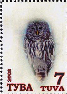 Stamp, Owls, Cinderellas,  , Animals (Fauna), Birds, Owls