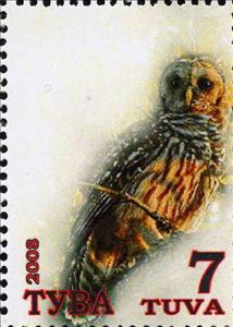 Stamp, Owls, Cinderellas,  , Animals (Fauna), Birds, Owls