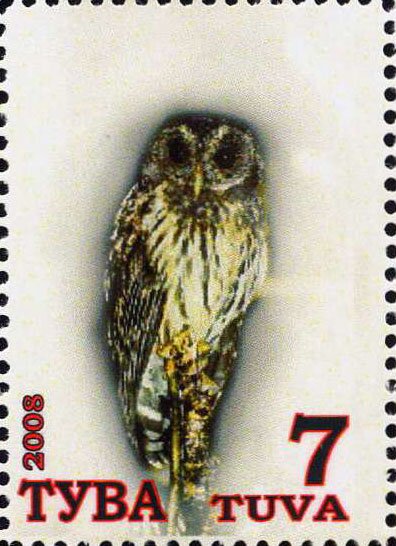 Owls