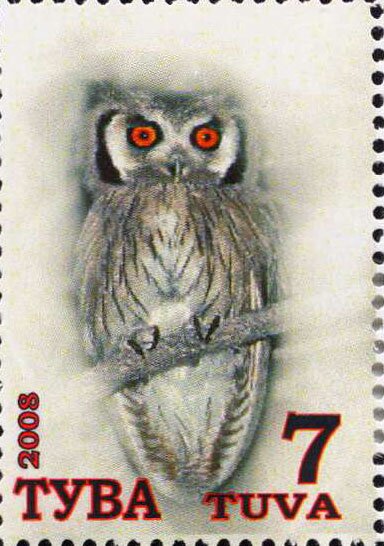 Owls