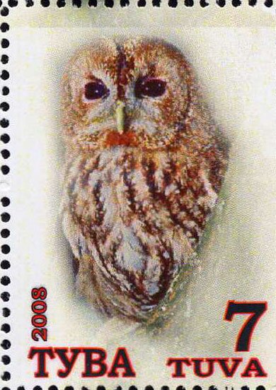 Owls