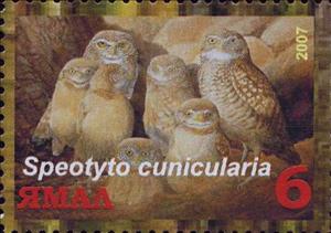 Stamp, Speotyto cunicularia, Cinderellas,  , Animals (Fauna), Birds, Birds of Prey, Owls