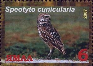 Stamp, Speotyto cunicularia, Cinderellas,  , Animals (Fauna), Birds, Birds of Prey, Owls