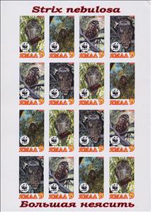 Mini Sheet, Strix nebulosa, Cinderellas,  , Animals (Fauna), Birds, Birds of Prey, Owls