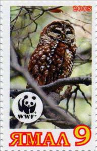 Stamp, Strix nebulosa, Cinderellas,  , Animals (Fauna), Birds, Birds of Prey, Owls