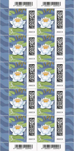 Letters as Lotus Flower