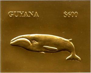 Stamp, Eubalaena glacialis, Guyana,  