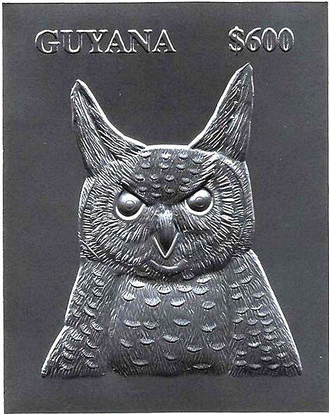 Owl