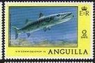 Great Barracuda (Sphyraena barracuda)
