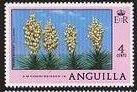 Spanish bayonet (Yucca)