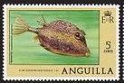 Honeycomb Cowfish (Acanthostracion polygonius)