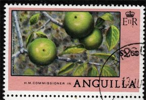 Manchineel (fruit)