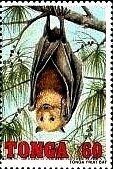 Stamp, Bat hanging from tree limb, Tonga,  